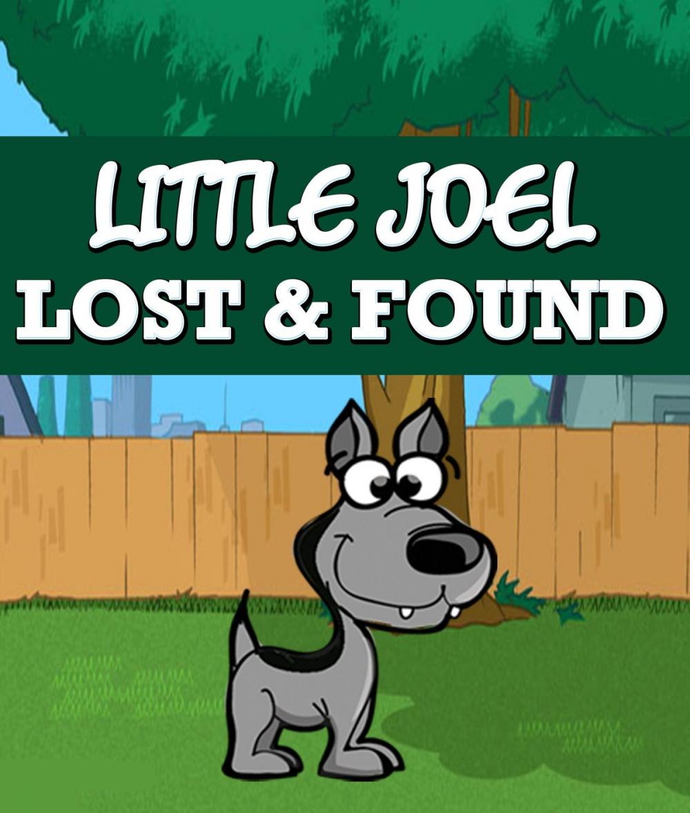 Big bigCover of Little Joel Lost & Found