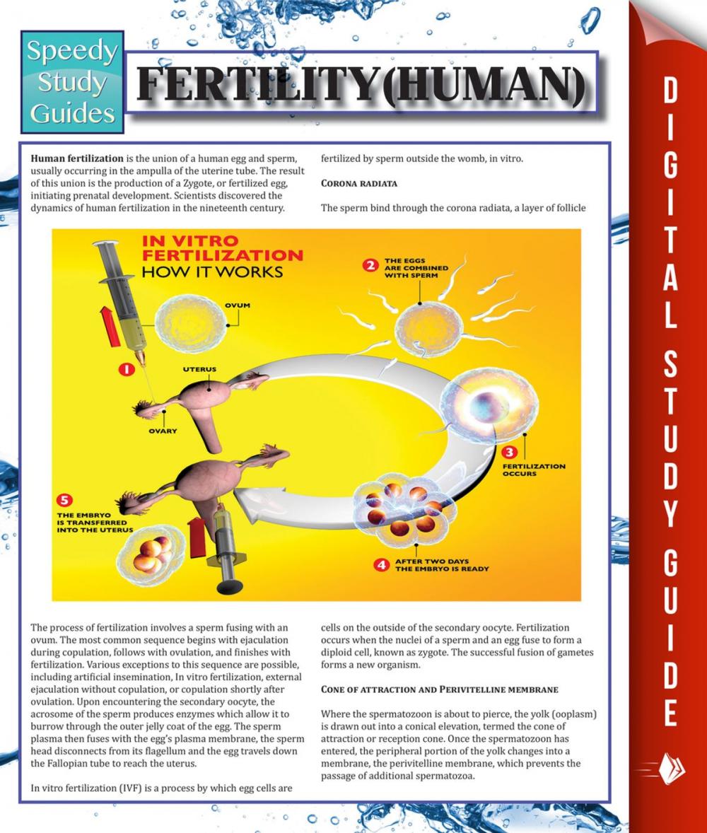 Big bigCover of Fertility (Human)