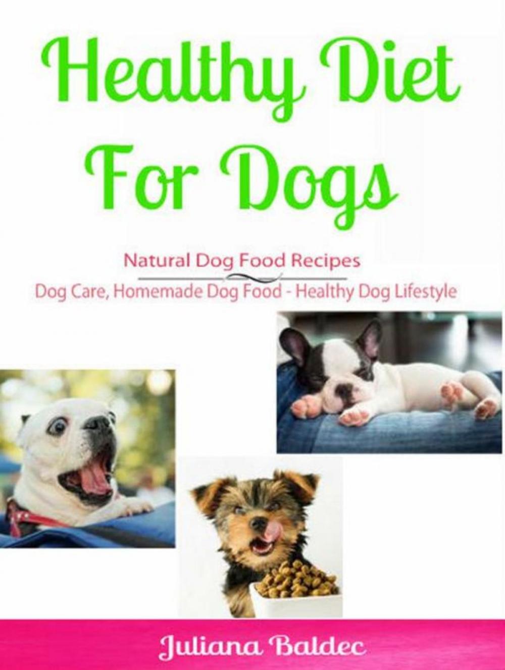 Big bigCover of Healthy Diet for Dog: Natural Dog Food Recipes