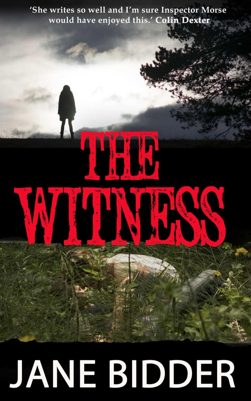 Big bigCover of The Witness