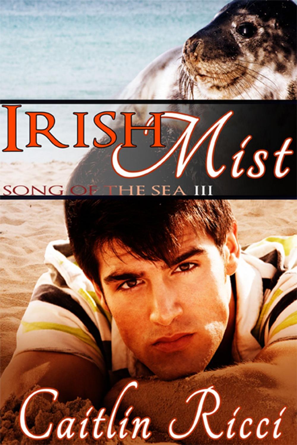 Big bigCover of Irish Mist