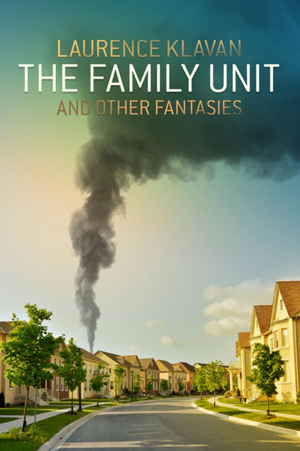 Big bigCover of The Family Unit and Other Fantasies