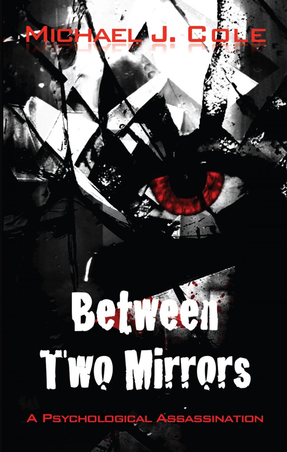 Big bigCover of Between Two Mirrors