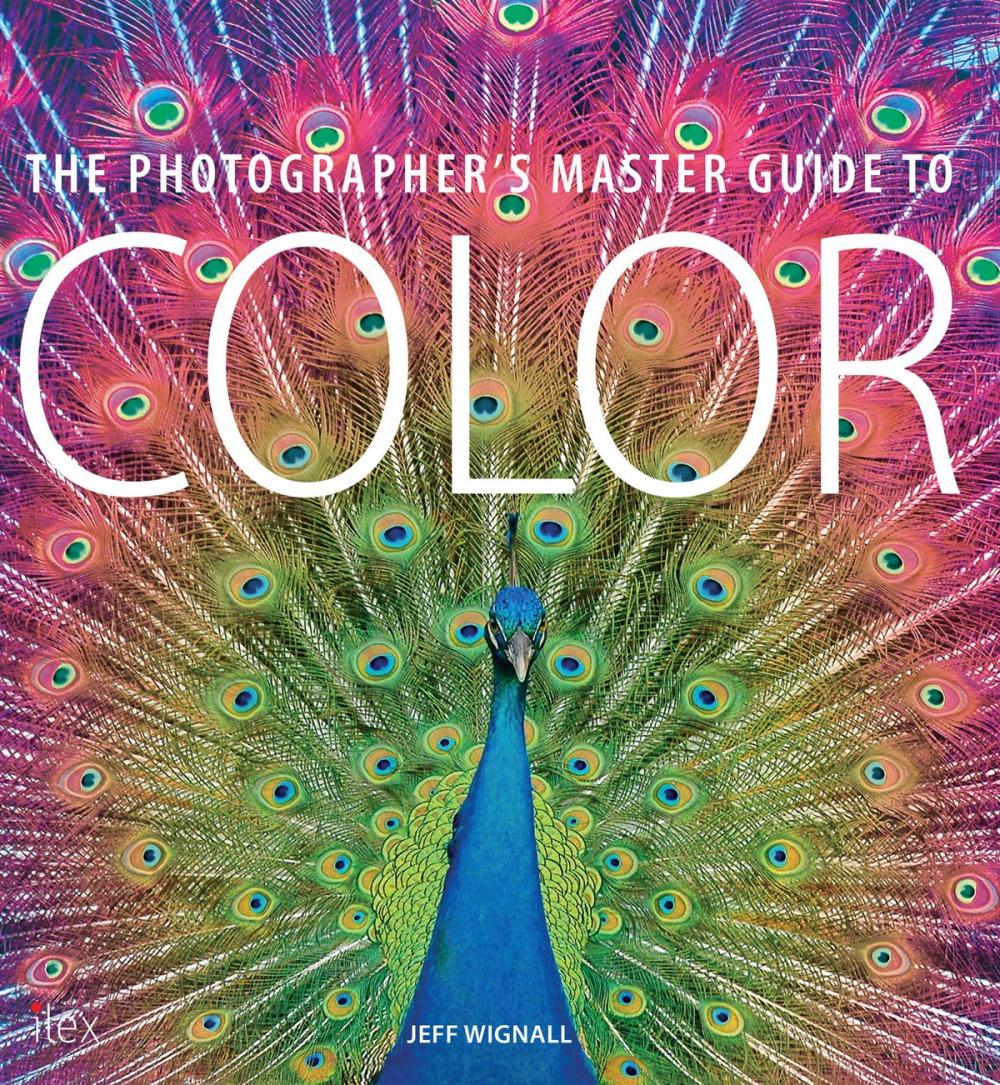 Big bigCover of The Photographer's Master Guide to Colour