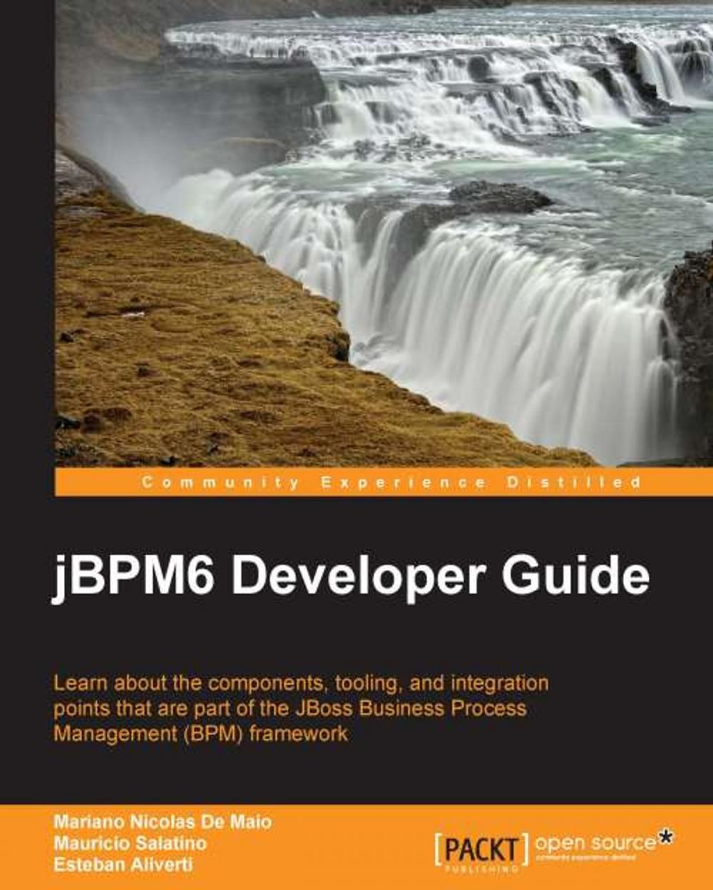 Big bigCover of jBPM6 Developer Guide