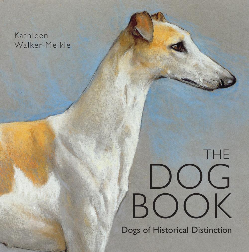 Big bigCover of The Dog Book