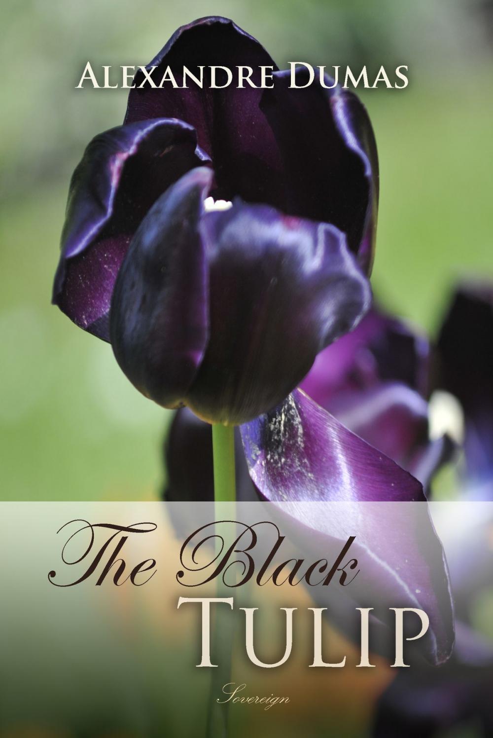 Big bigCover of The Black Tulip