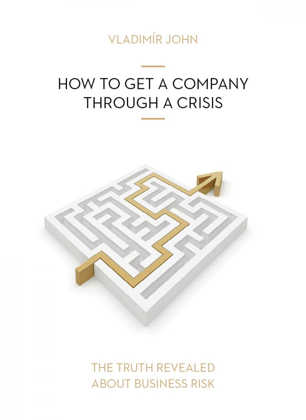 Big bigCover of How to Get a Company Through a Crisis