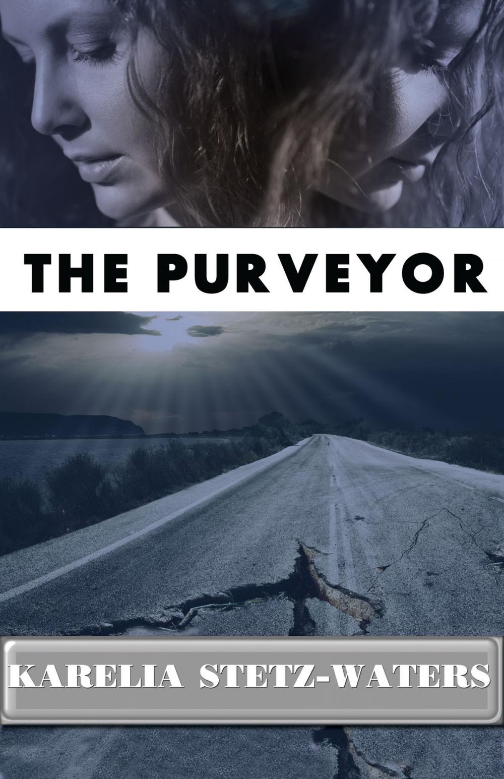 Big bigCover of The Purveyor