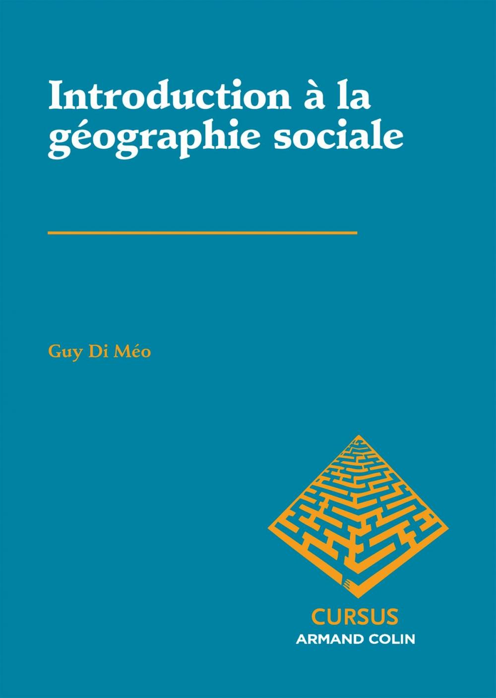 Big bigCover of Introduction à la géographie sociale