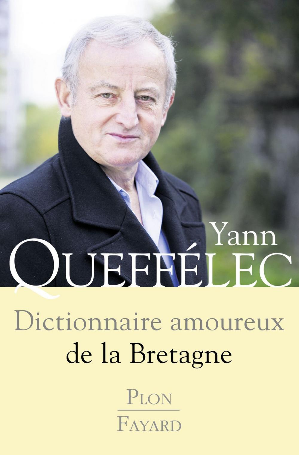 Big bigCover of Dictionnaire amoureux de la Bretagne