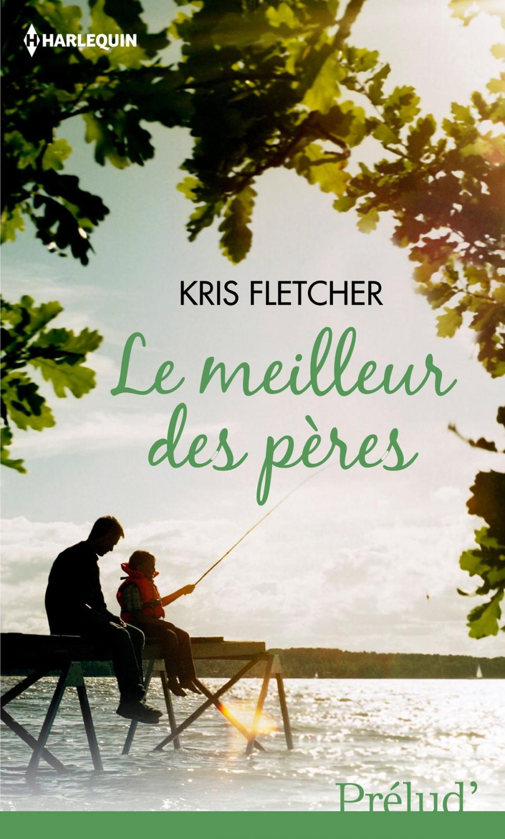 Big bigCover of Le meilleur des pères