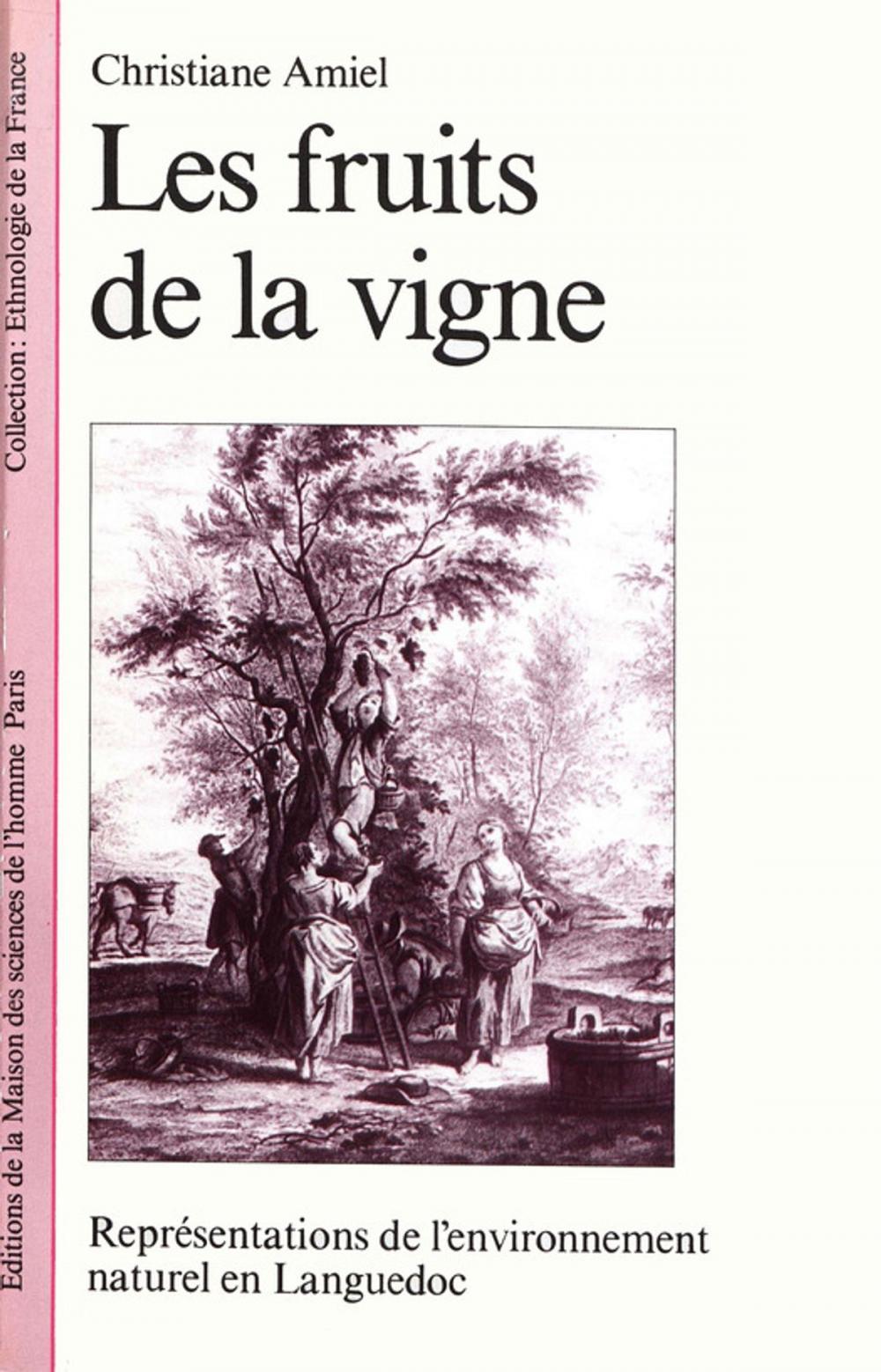 Big bigCover of Les fruits de la vigne