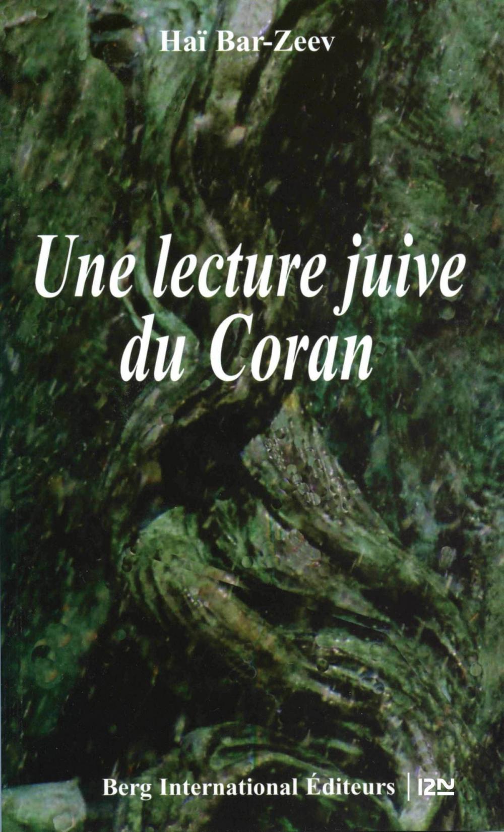 Big bigCover of Une lecture juive du Coran