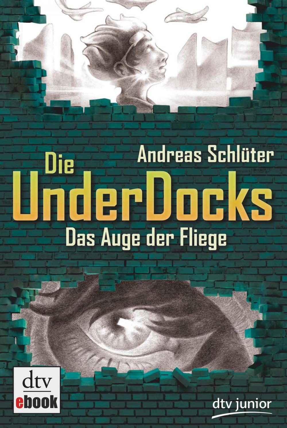 Big bigCover of Das Auge der Fliege Die UnderDocks 2