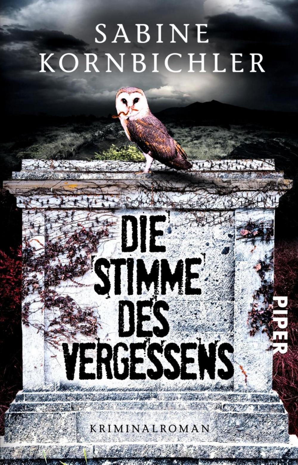 Big bigCover of Die Stimme des Vergessens