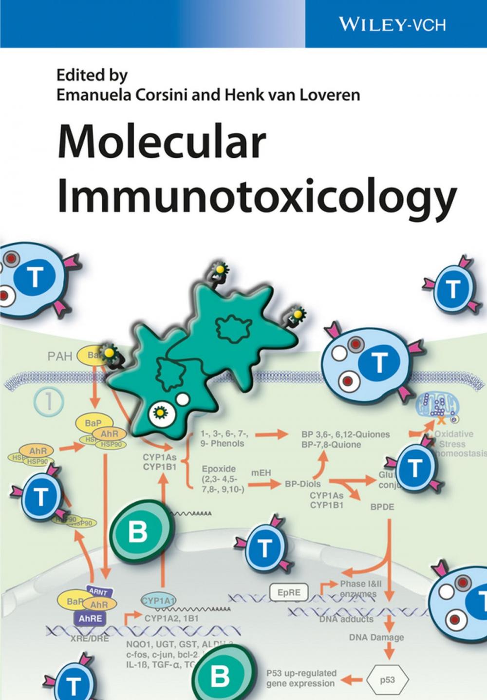 Big bigCover of Molecular Immunotoxicology