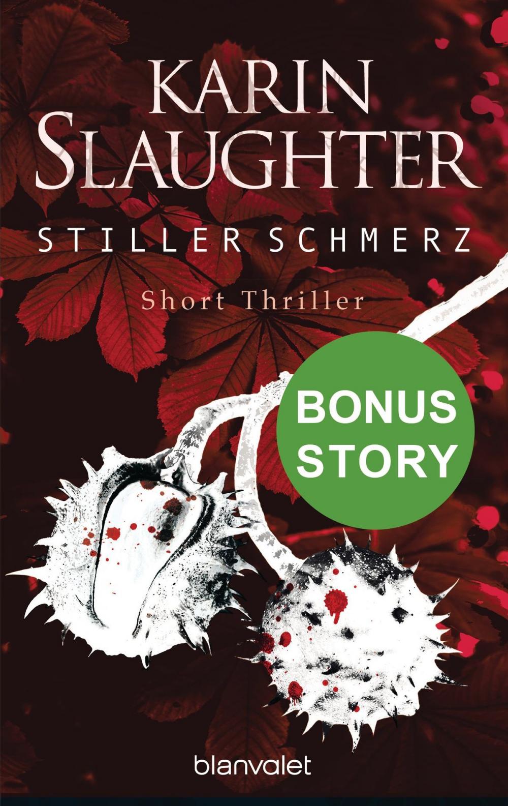 Big bigCover of Stiller Schmerz