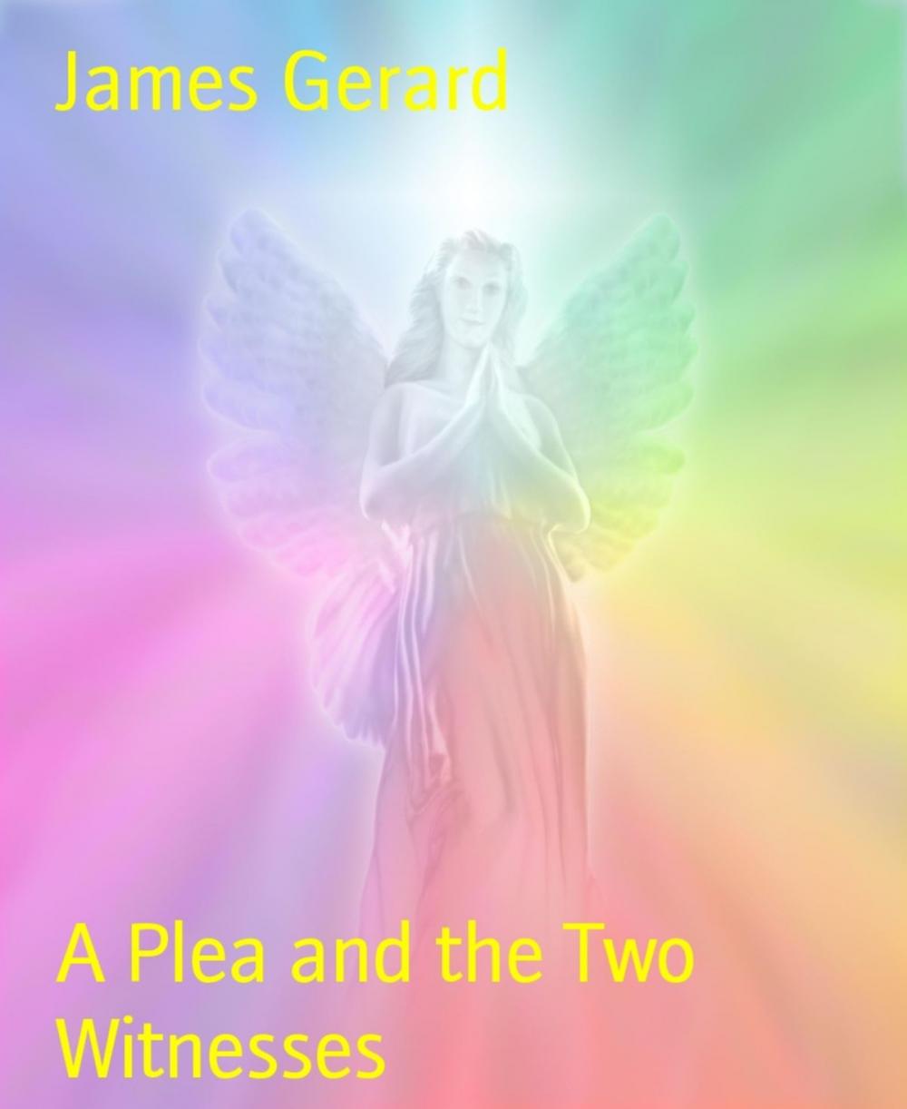 Big bigCover of A Plea and the Two Witnesses