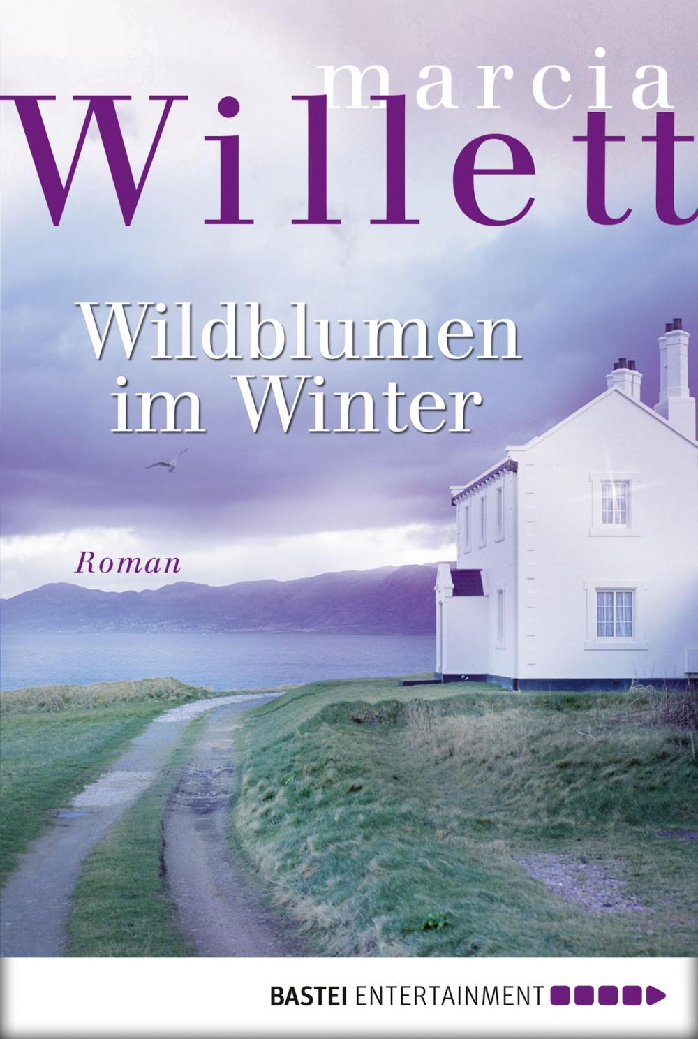 Big bigCover of Wildblumen im Winter