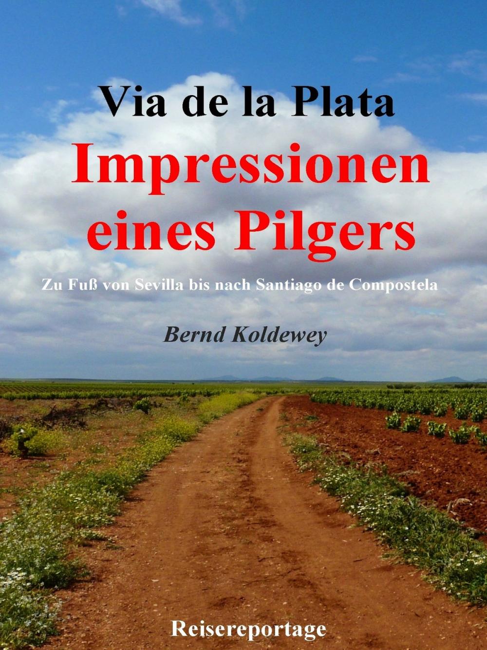 Big bigCover of Via de la Plata – Impressionen eines Pilgers