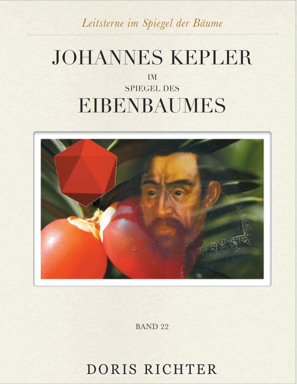 Big bigCover of Johannes Kepler im Spiegel des Eibenbaumes