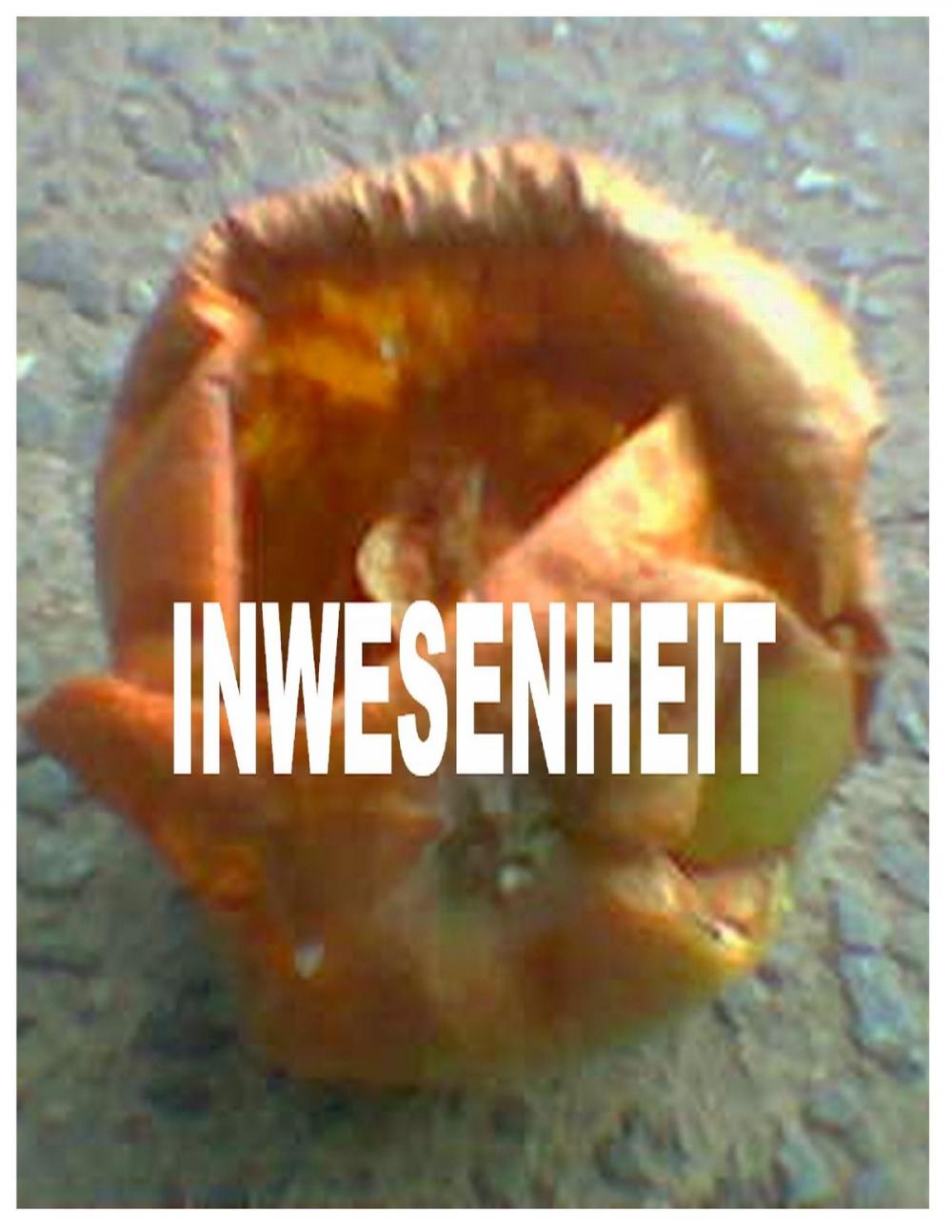 Big bigCover of Inwesenheit