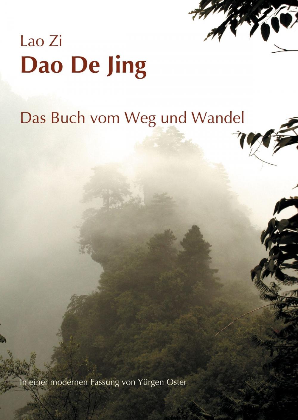 Big bigCover of Dao De Jing