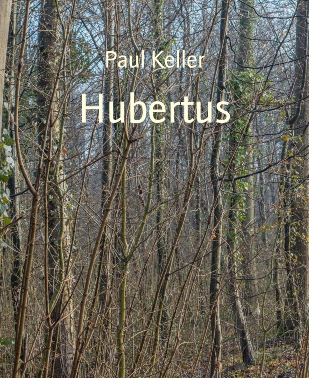 Big bigCover of Hubertus