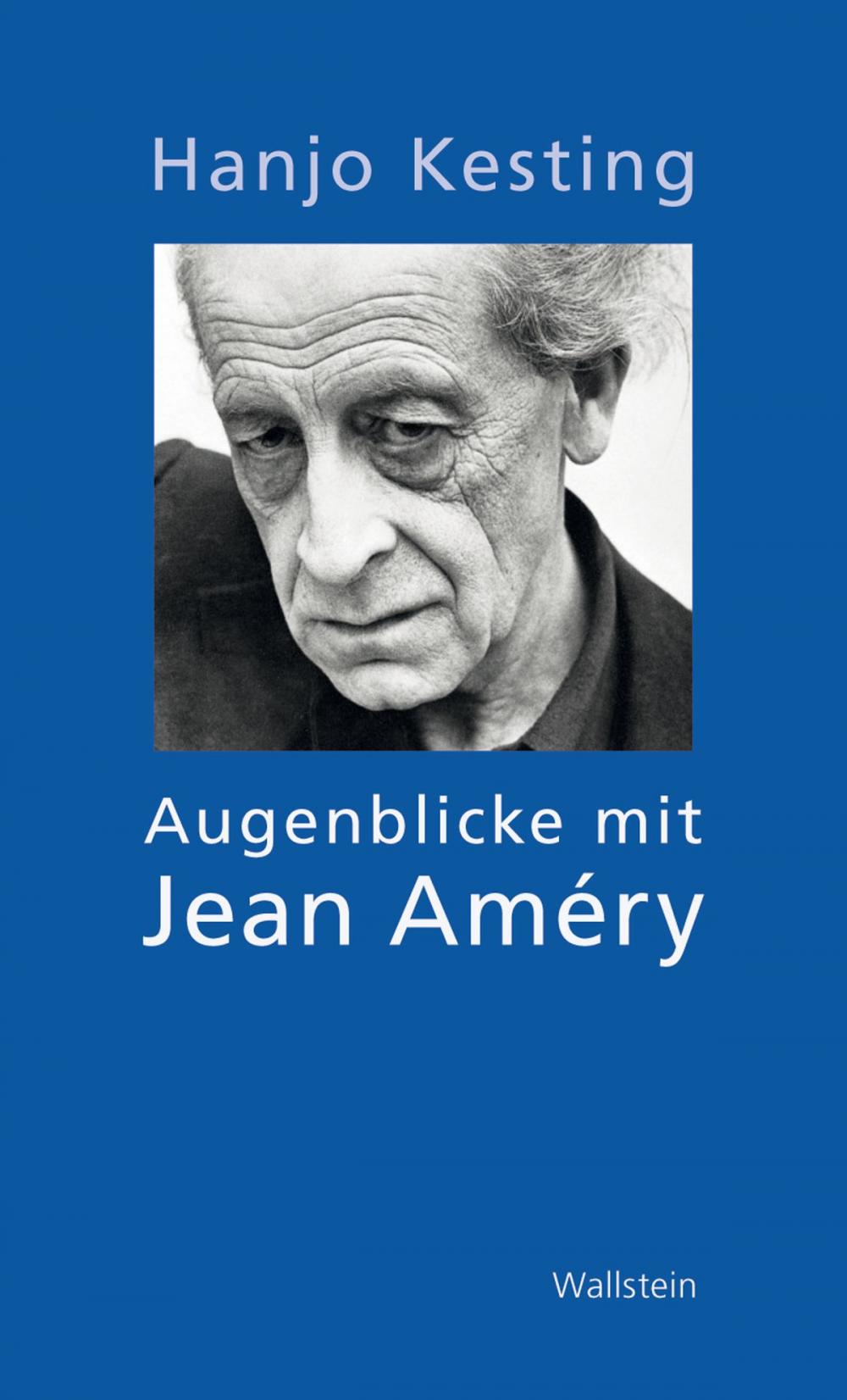 Big bigCover of Augenblicke mit Jean Améry