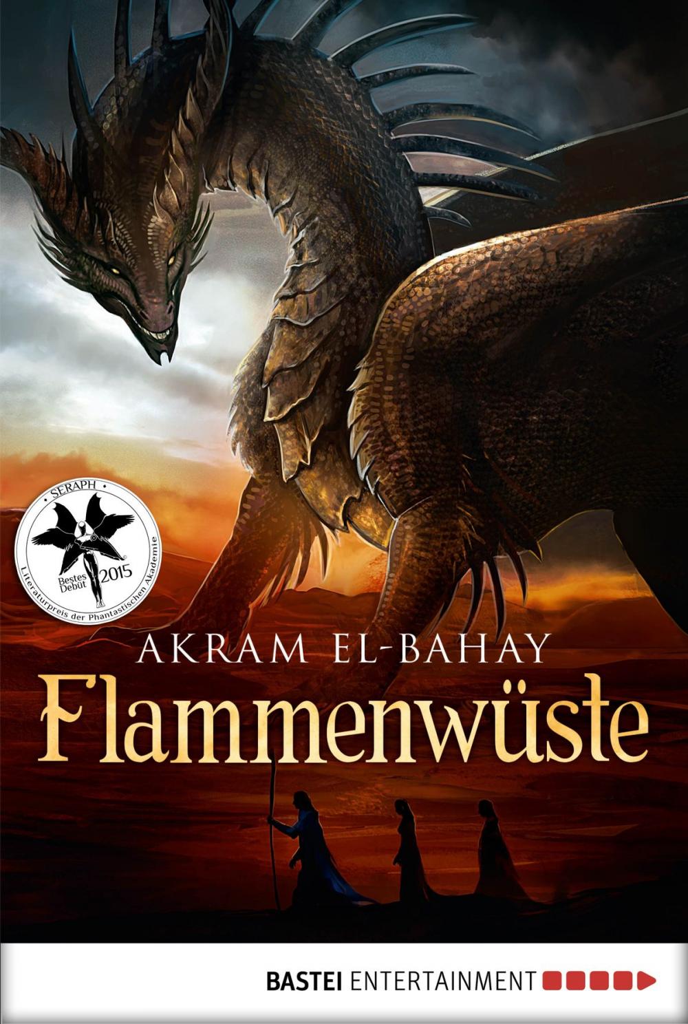 Big bigCover of Flammenwüste