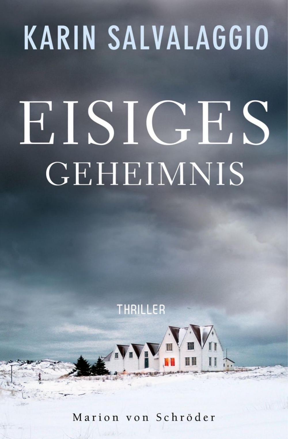 Big bigCover of Eisiges Geheimnis