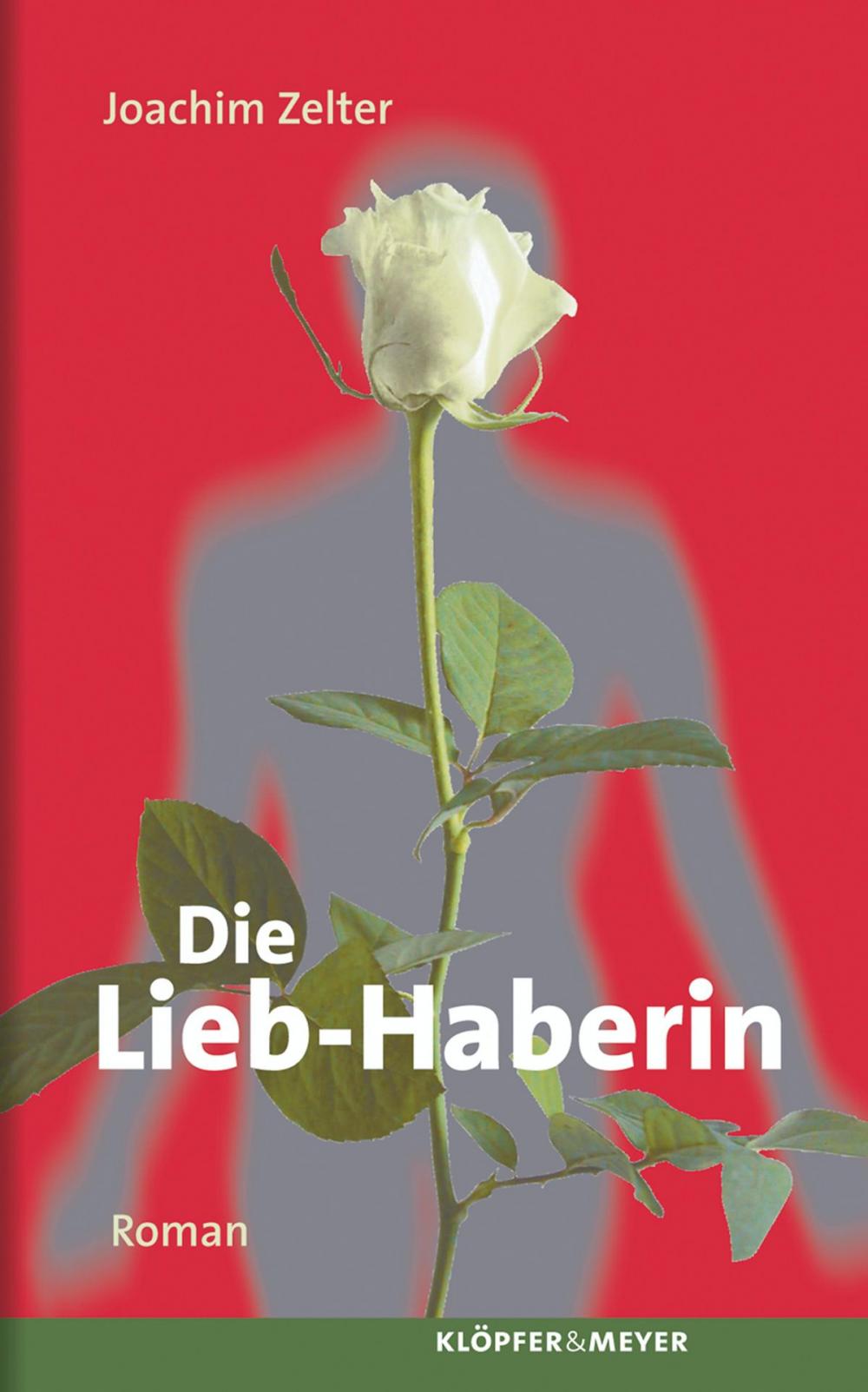 Big bigCover of Die Lieb-Haberin.