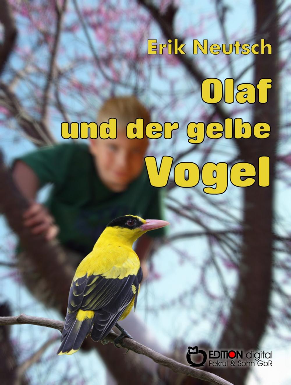 Big bigCover of Olaf und der gelbe Vogel