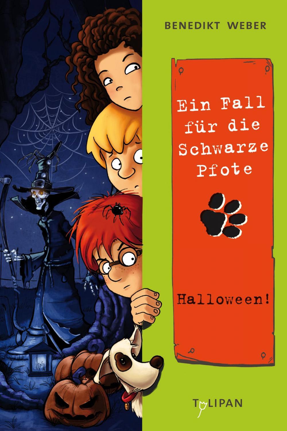 Big bigCover of Ein Fall für die Schwarze Pfote: Halloween!