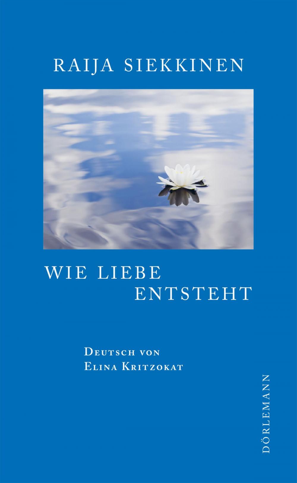 Big bigCover of Wie Liebe entsteht