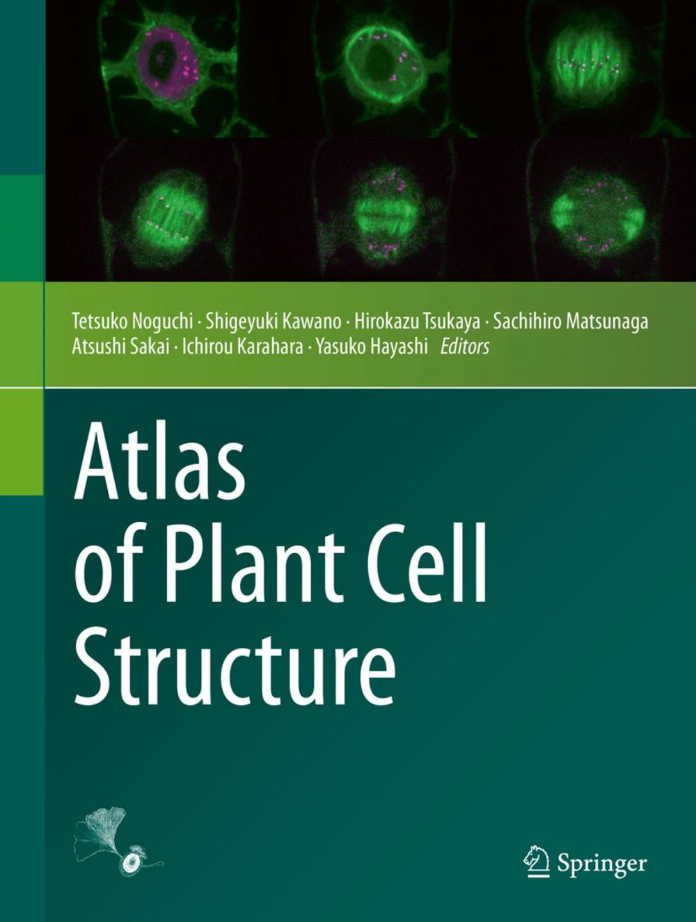 Big bigCover of Atlas of Plant Cell Structure