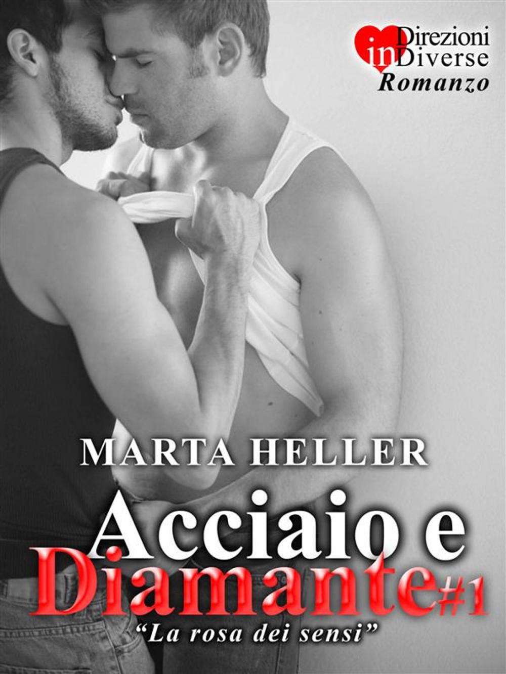 Big bigCover of Acciaio e Diamante#1