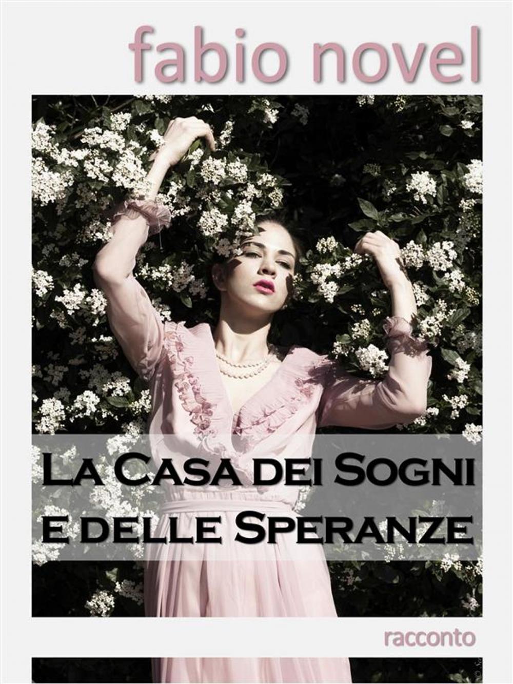 Big bigCover of La Casa dei Sogni e delle Speranze