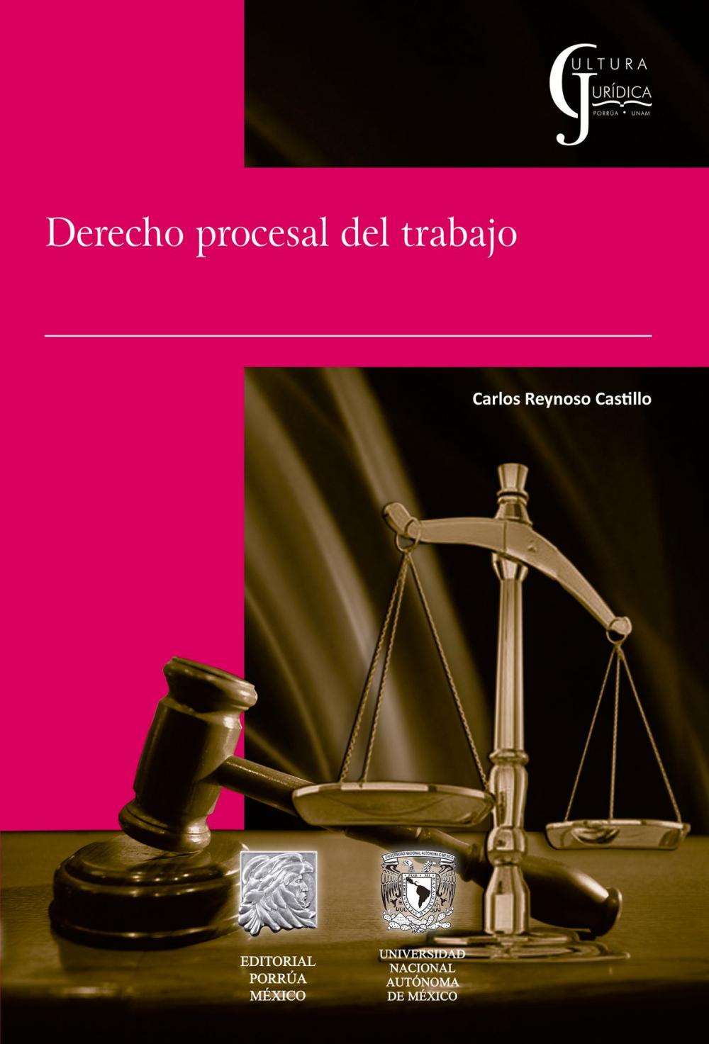 Big bigCover of Derecho Procesal del Trabajo