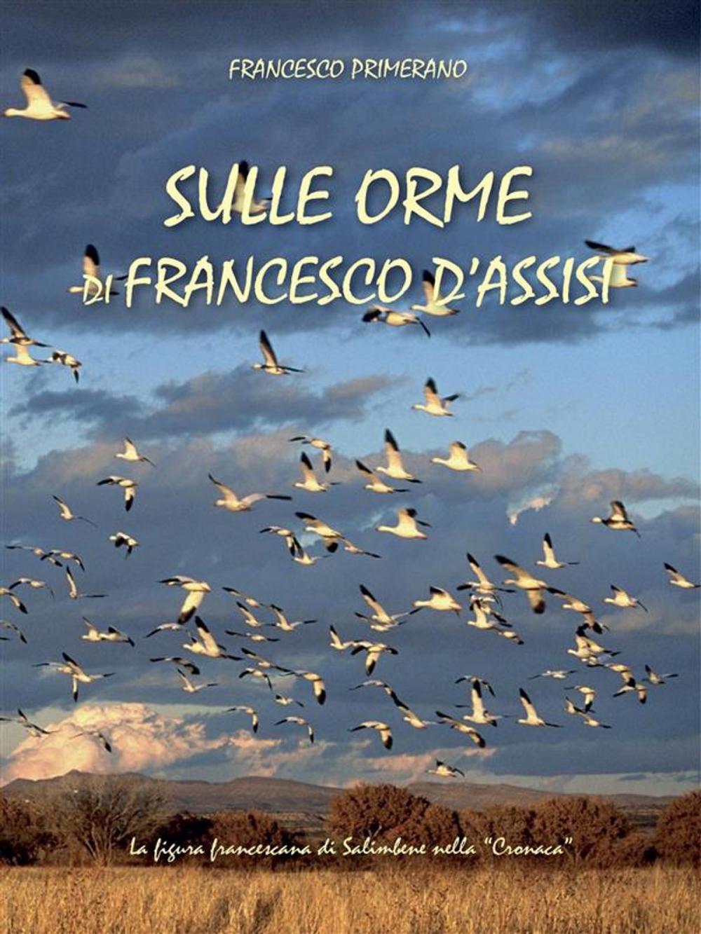 Big bigCover of Sulle orme di Francesco d'Assisi