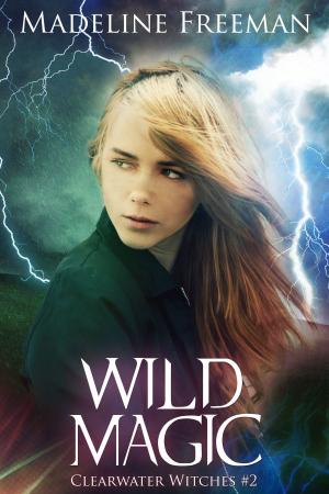 Cover of the book Wild Magic by Daniel Sandoval