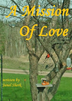 bigCover of the book A Mission Of Love by 