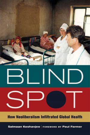 Cover of the book Blind Spot by Kelly E. Hayes