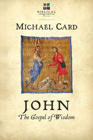 Book cover of John: The Gospel of Wisdom