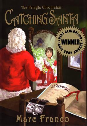bigCover of the book Catching Santa by 