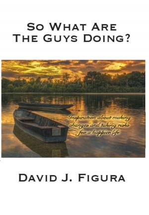Book cover of So What Are The Guys Doing? Inspiration About Making Changes And Taking Risks For A Happier Life