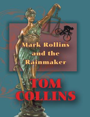 Cover of the book Mark Rollins and the Rainmaker by Megan Ogilvie