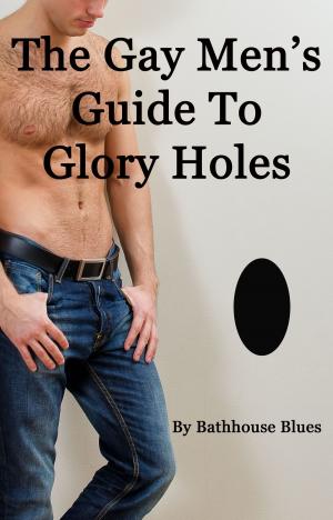 Book cover of The Gay Men's Guide To Glory Holes