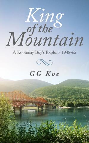 Cover of the book King of the Mountain by 白波